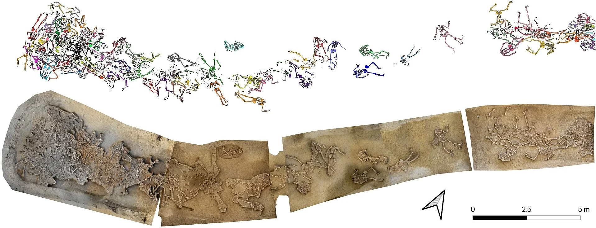 Most of the individuals are found to the far left, where the ditch ends and the entrance to the settlement was located. Most of the individuals are found to the far left, where the ditch ends and the entrance to the settlement was located.